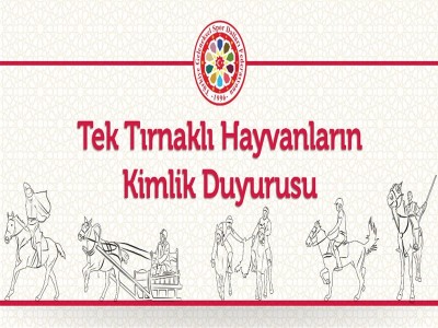 Tek Tırnaklı Hayvanların Kimlik Duyurusu