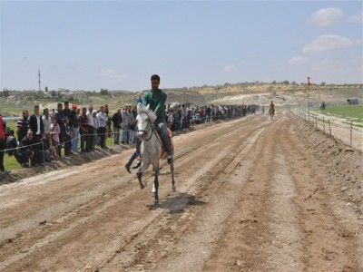 Rahvan At Yarışları Gaziantep’te Gerçekleştirildi