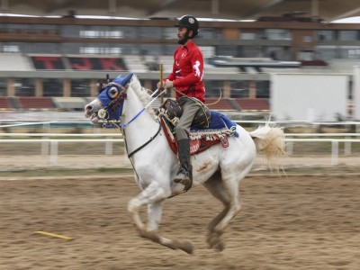 Atlı Ligi Yarı Final Müsabakaları'nda B Grubu'nun kazananı  Erzurum Şengal