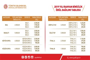 2019 YILI RAHVAN BİNİCİLİK ÖDÜL DAĞILIMI TABLOSU